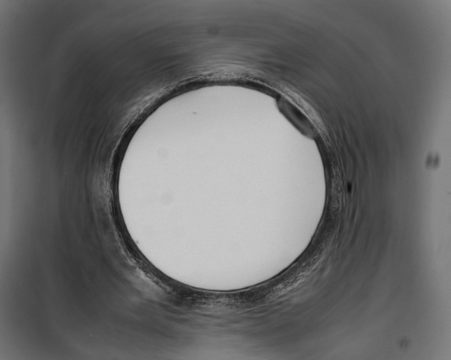 X0000099940485200806201124