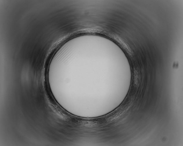 X0000099940486200806201124