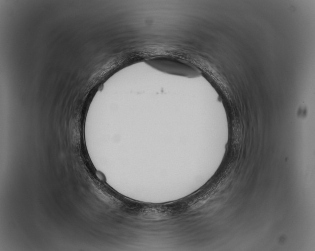 X0000099940489200806201124