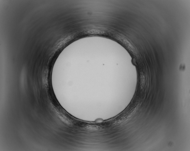 X0000099940490200806201124