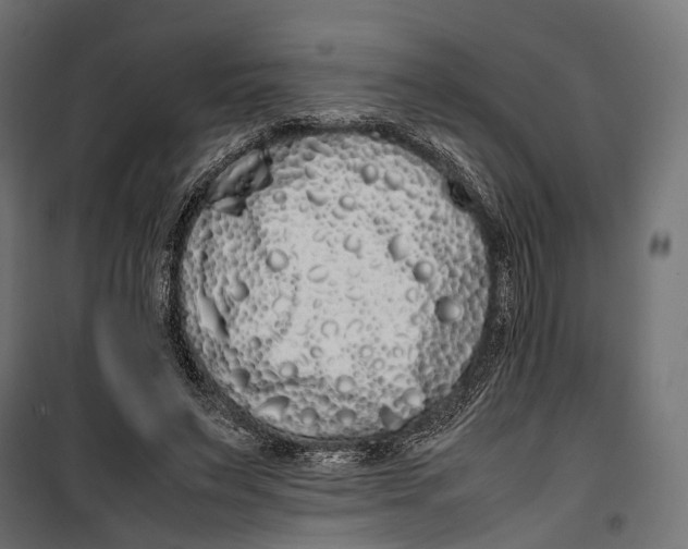 X0000099940495200806201124