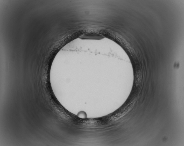 X0000099940497200806201124