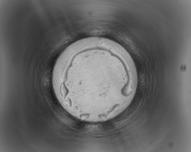X0000099940499200806201124