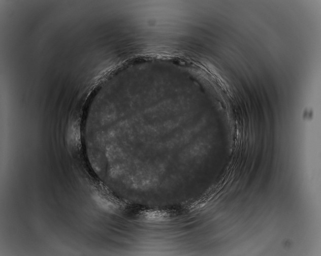 X0000099940500200806201124