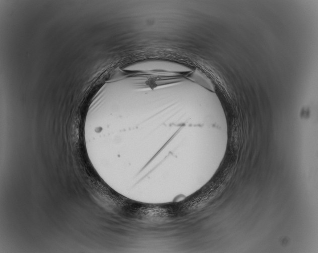 X0000099940501200806201124