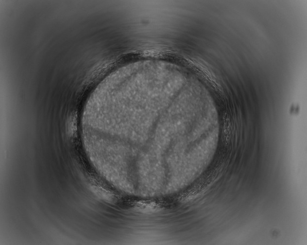 X0000099940502200806201124