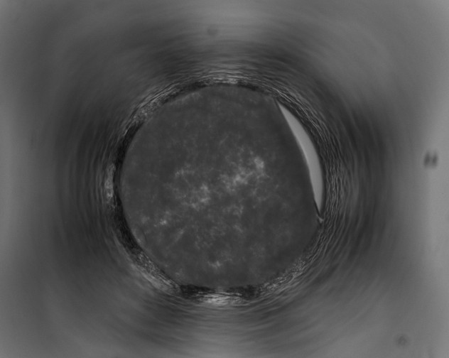 X0000099940504200806201124