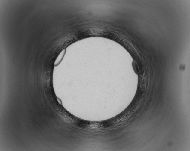 X0000099940505200806201124