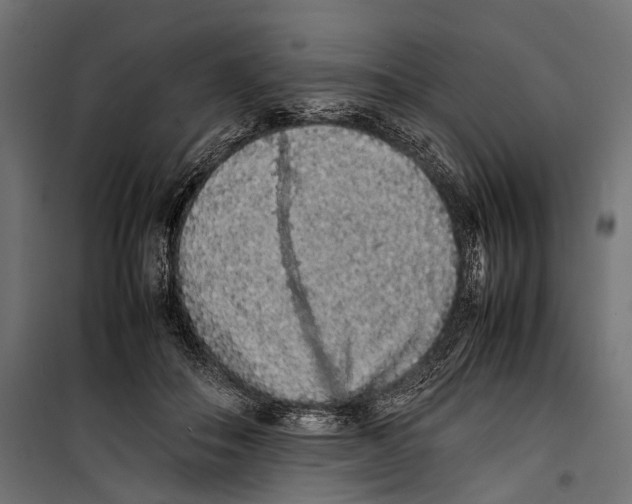X0000099940506200806201124
