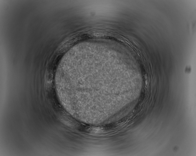 X0000099940507200806201124