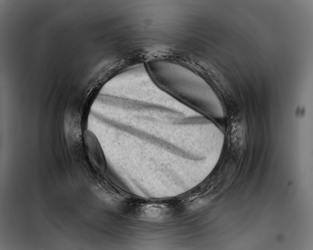 X0000099940508200806201124