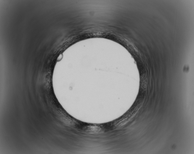 X0000099940509200806201124