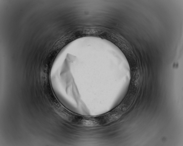 X0000099940510200806201124