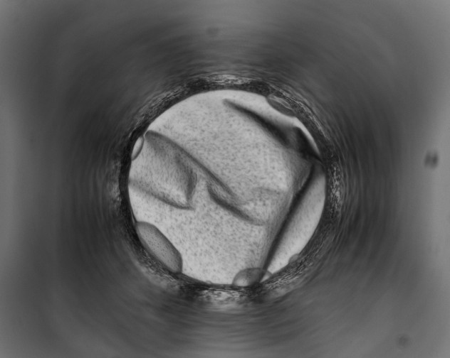 X0000099940512200806201124