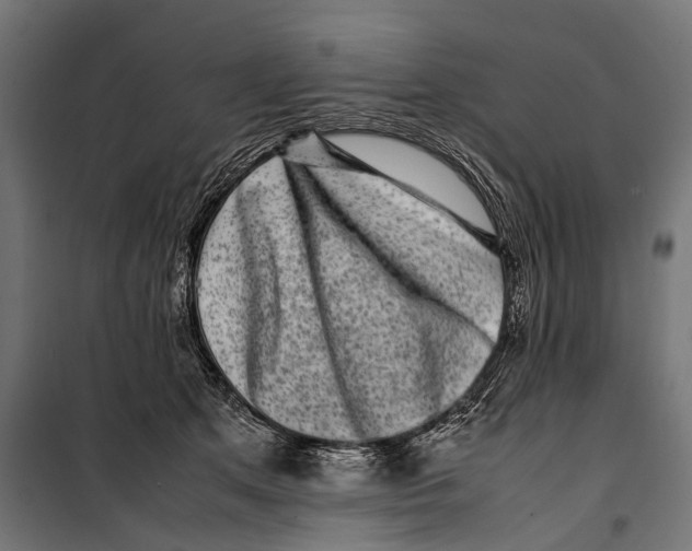 X0000099940513200806201124