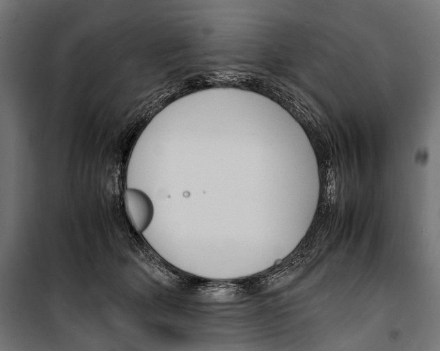 X0000099940514200806201124