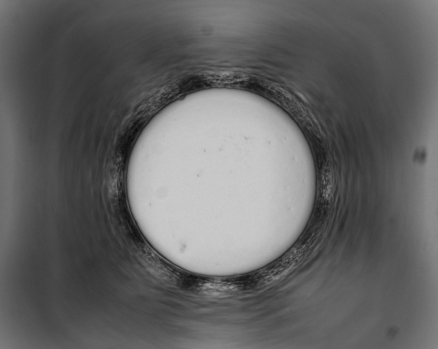 X0000099940515200806201124