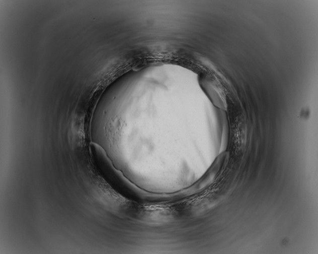 X0000099940516200806201124