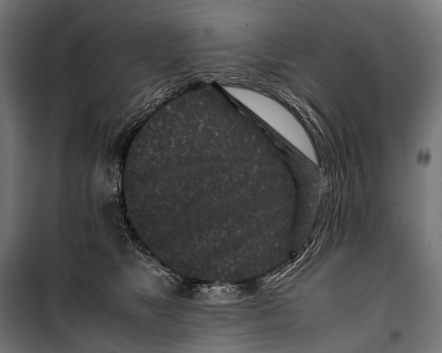 X0000099940517200806201123