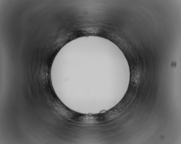 X0000099940518200806201123