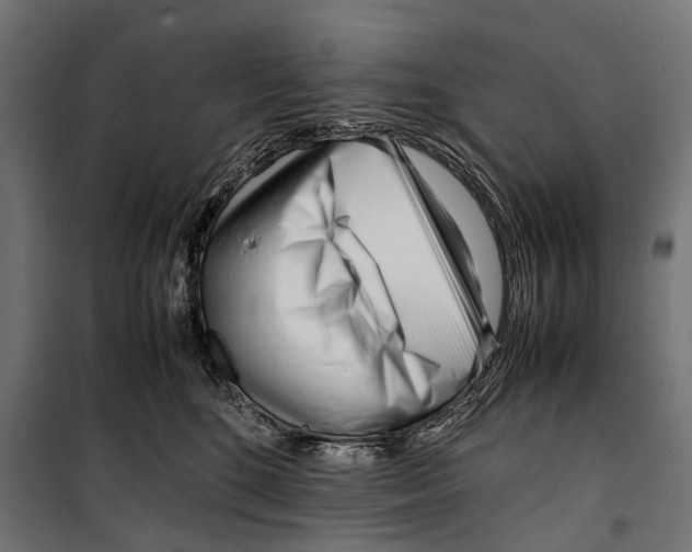 X0000099940520200806201123