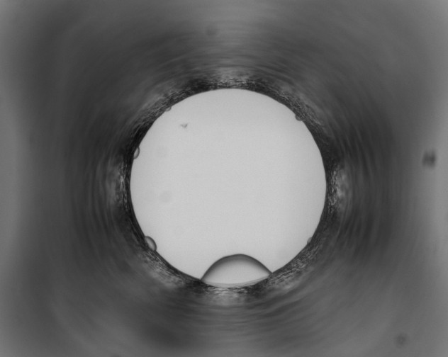 X0000099940522200806201123
