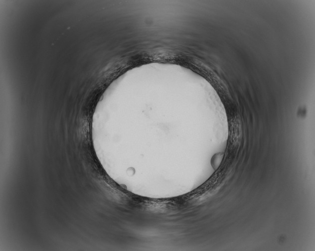 X0000099940523200806201123