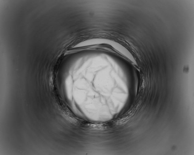 X0000099940524200806201123