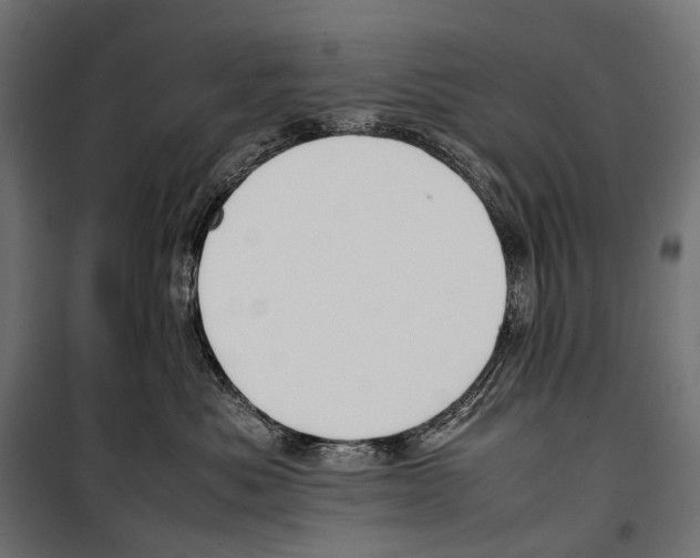 X0000099940525200806201123
