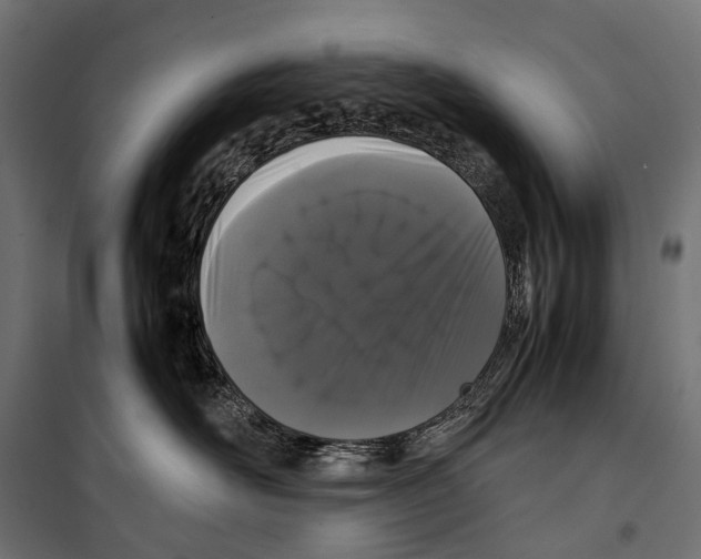 X0000099940526200806201123