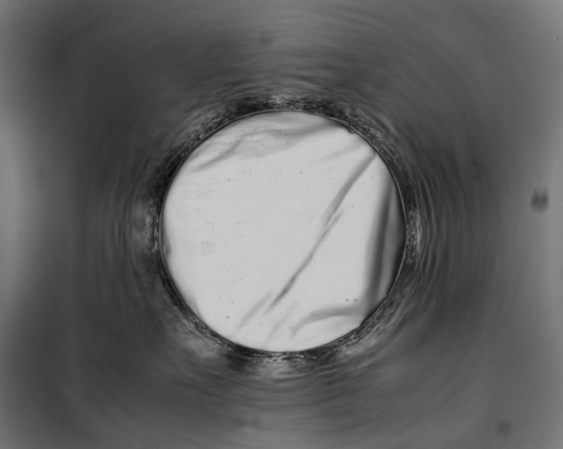 X0000099940527200806201123