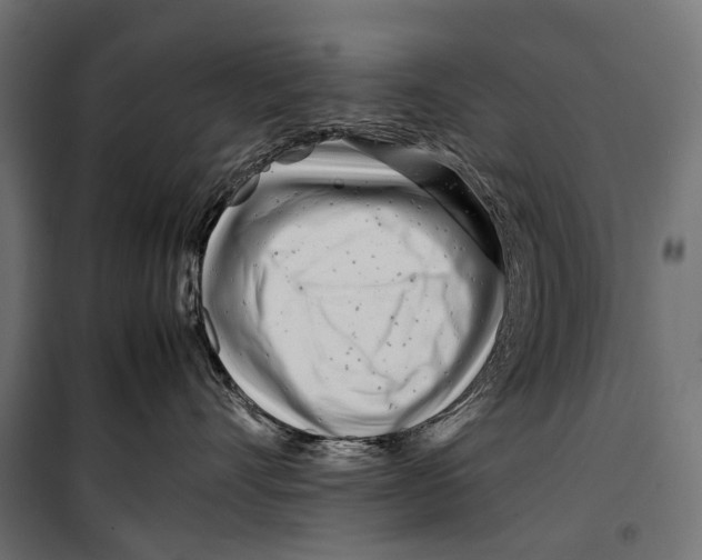 X0000099940528200806201123