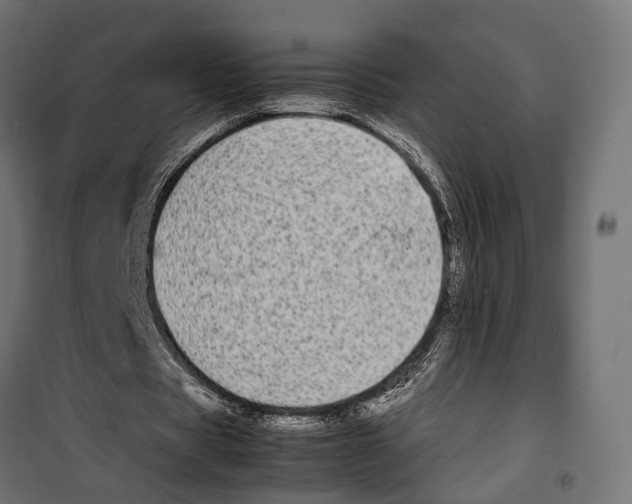 X0000099940529200806201123