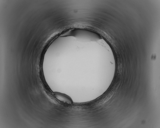 X0000099940530200806201123
