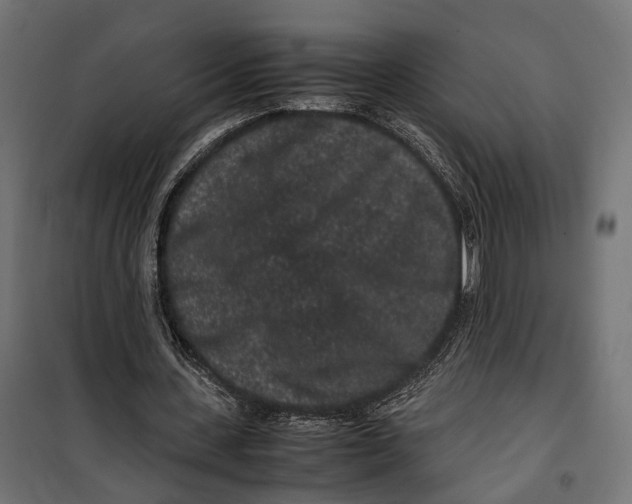 X0000099940531200806201123