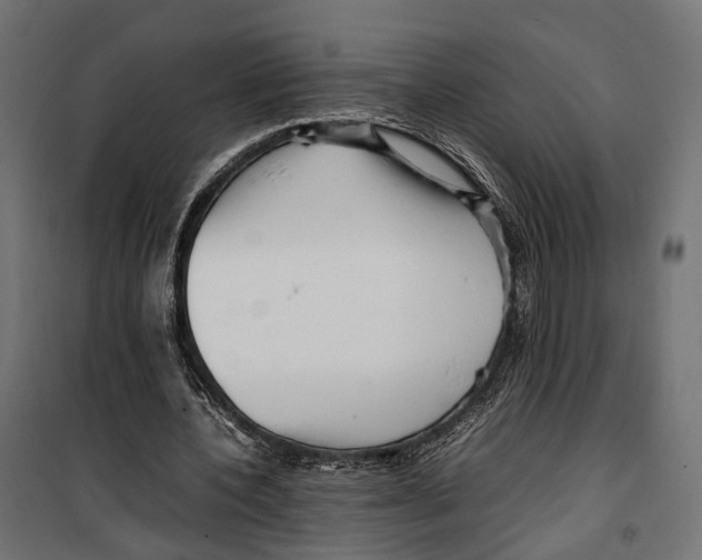 X0000099940532200806201123