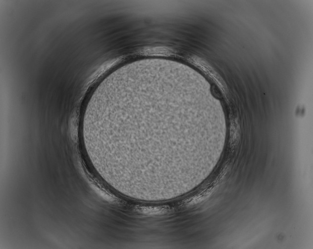 X0000099940533200806201123