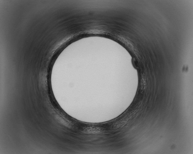 X0000099940535200806201123
