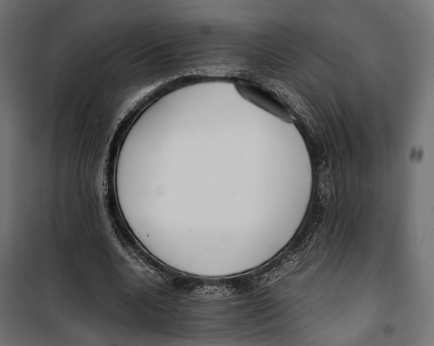 X0000099940536200806201123