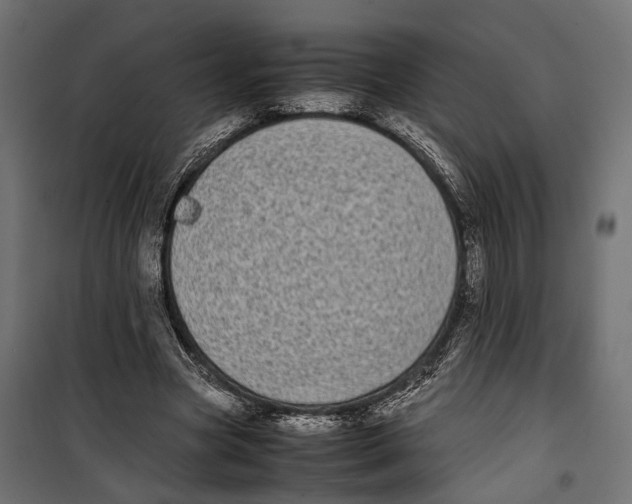 X0000099940537200806201123