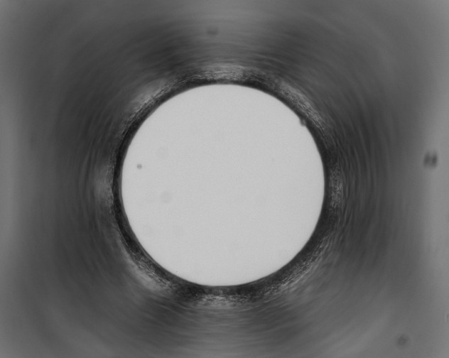 X0000099940538200806201123