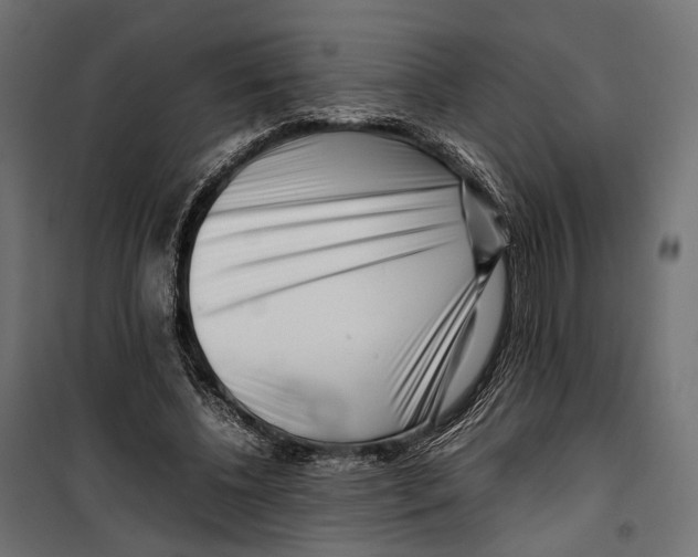 X0000099940540200806201123