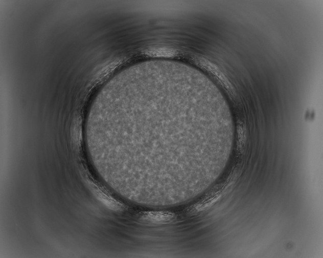 X0000099940541200806201123