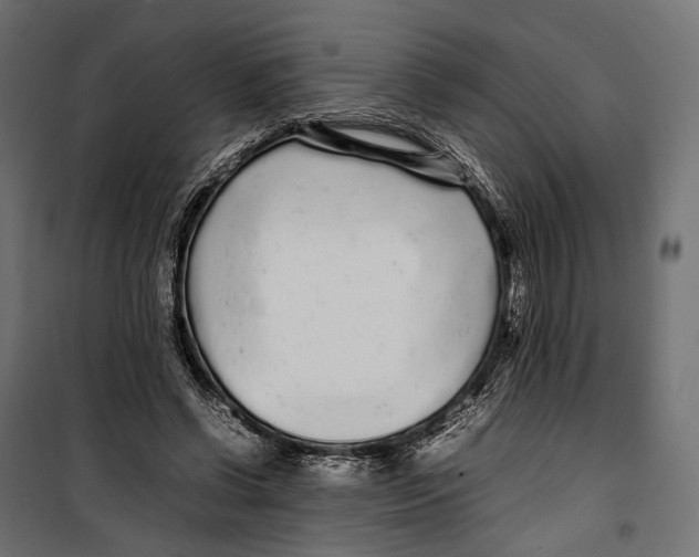 X0000099940542200806201123
