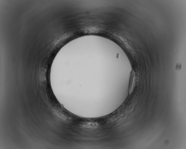 X0000099940543200806201123