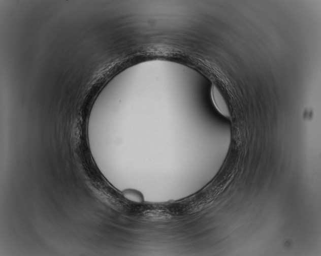 X0000099940544200806201123