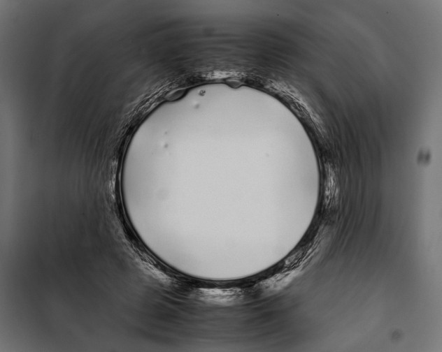 X0000099940545200806201123