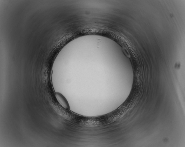 X0000099940546200806201123