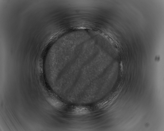 X0000099940547200806201123