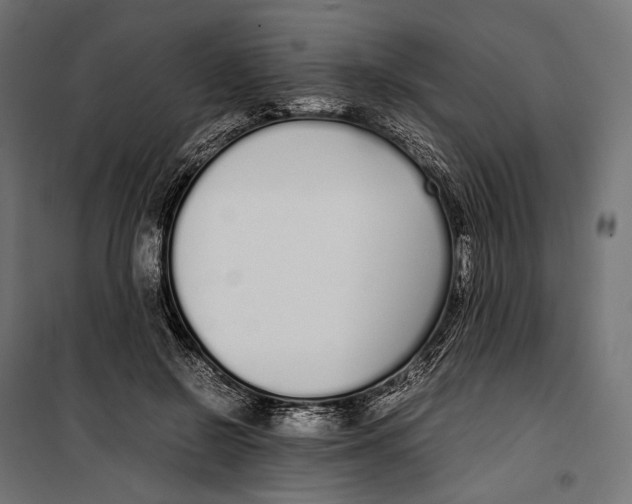 X0000099940550200806201123